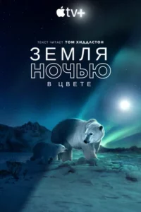 Земля ночью в цвете 1, 2 Сезон